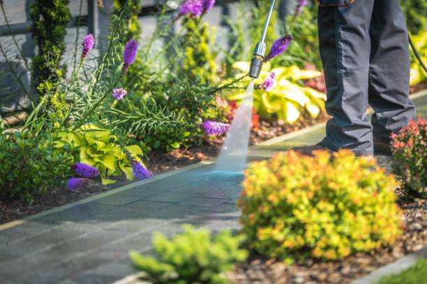 Best Restaurant Pressure Washing  in Harlem, FL