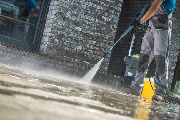Best Pool Deck Cleaning  in Harlem, FL